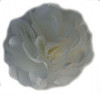 Rosette flowers - Ivory