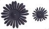 Black Gerber Daisy Petals