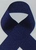 Schiff Light Navy Grosgrain Ribbon