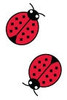 Ladybugs Grosgrain Ribbon