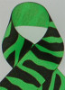 Neon Green Zebra Printed Ribbon. Great for hair bows, cheer bows,craft ribbon and more