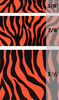 Neon Tangerine Zebra Grosgrain #629