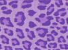 Lilac Leopard Print Grosgrain Ribbon #611