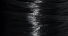 Black Matte Raffia #26