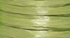 Jungle Green Pearl Raffia #66