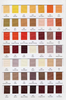 Solid Grosgrain Color Card