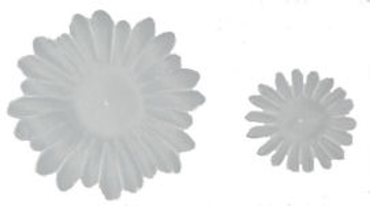 White Gerber Daisy Petals