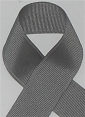 le ruban ୨୧*~ gris ~ くしゅくしゅリボン グレー №1 Grey Grosgrain Ribbon - Schiff Grey Grosgrain Ribbons