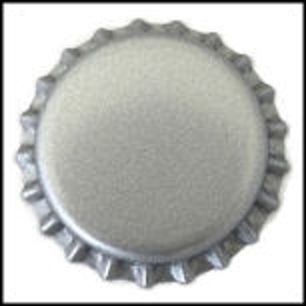 Silver Bottle Caps