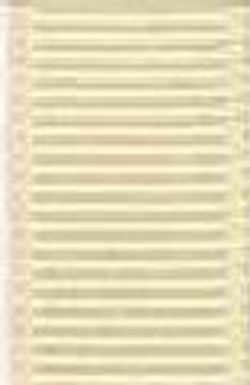 Cream Grosgrain Hair Ribbon