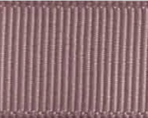Ginger Snap Grosgrain Ribbon #814