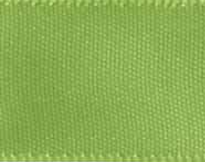 Apple Single Faced Satin Ribbon #550