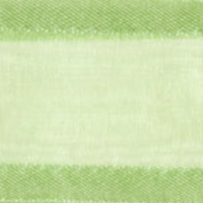 Mint Green Delight-Satin Edge #036