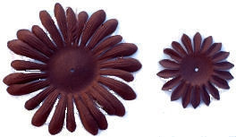 Brown Gerber Daisy Petals