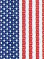American Flag Preppy Stripe Ribbon