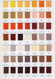 Grosgrain Color Cards SC066