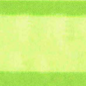 Citrus Sheer Delight-Satin Edge #502