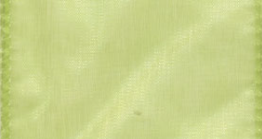 Apple Wired Chiffon Ribbon #137