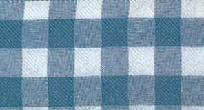 French Blue Gingham Style - Wired #332