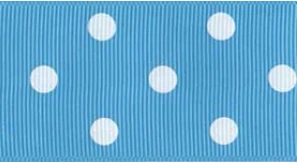 Turquoise and White Polka Dots #340