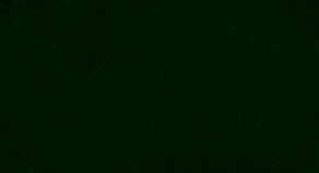 Forrest Nylvalour Swiss Velvet #926