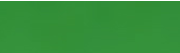 Green Metallic Curling Ribbon #607