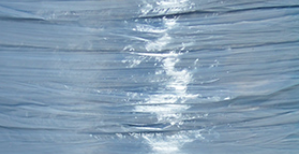 Blue Pearl Raffia #03