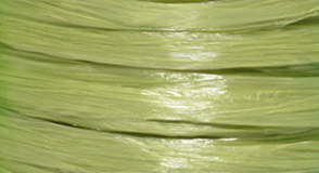 Jungle Green Pearl Raffia #66