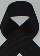 Black Grosgrain Ribbon - Schiff Black Grosgrain Ribbon