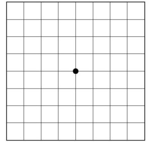 Amsler Grid Test