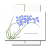 Sympathy Note Card - Violets Note Card cover has an illustration of violets and the words "with deepest sympathy"