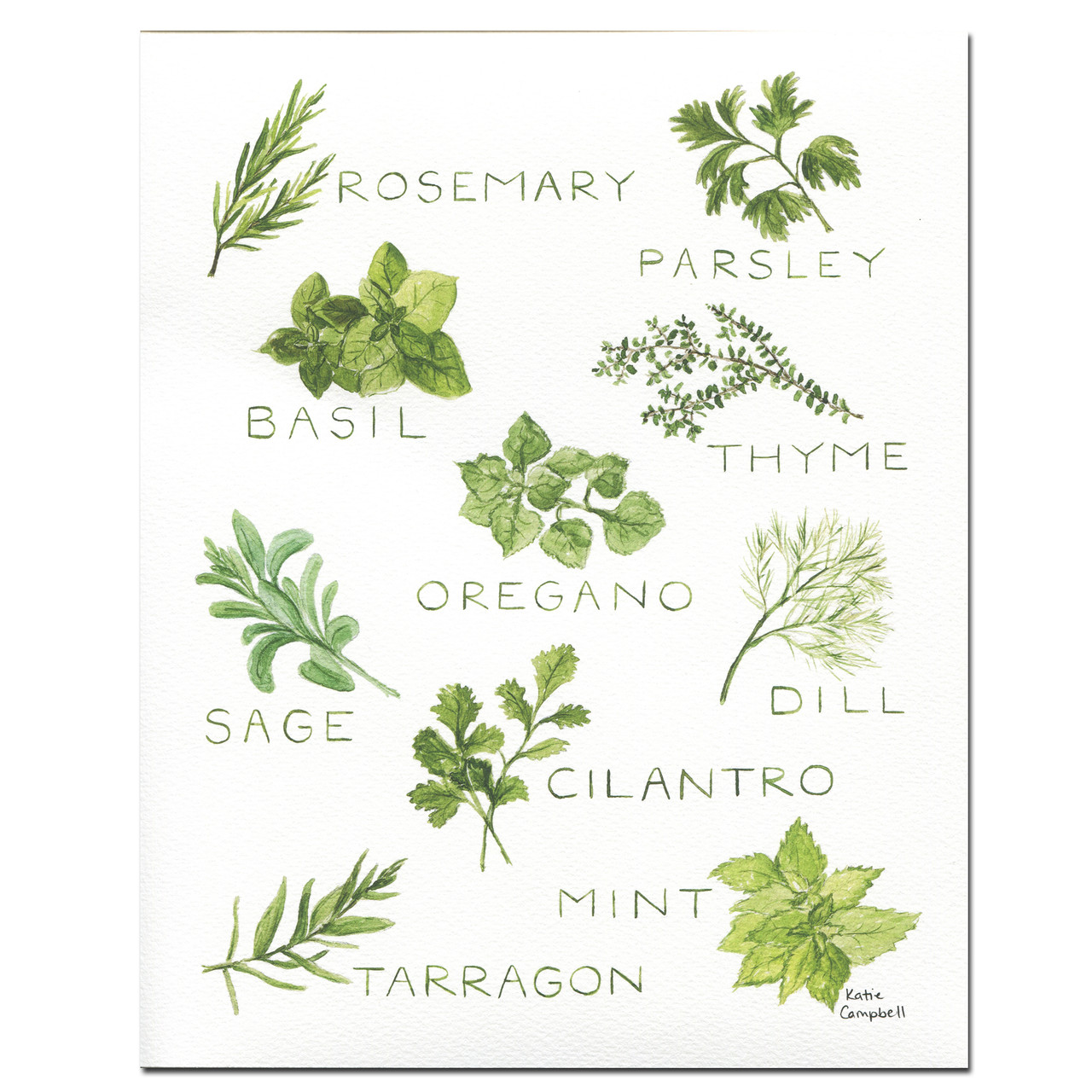 Katie Campbell Art Print: Kitchen Herbs