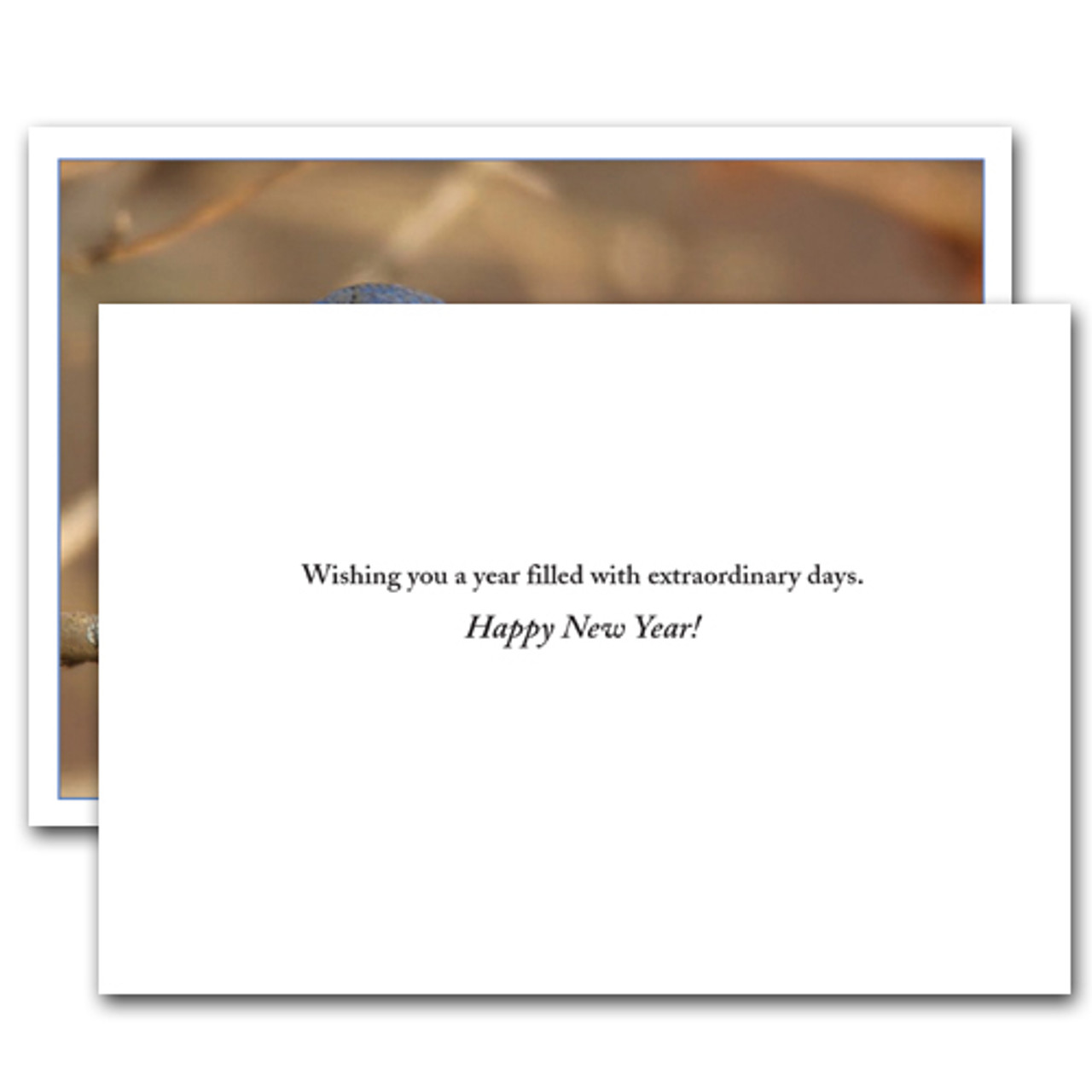 new year greeting card inside