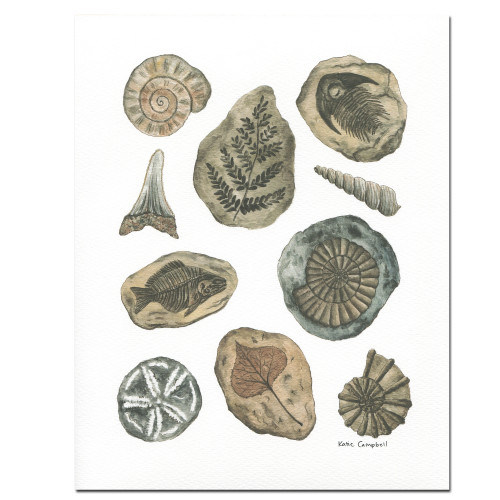 Katie Campbell Art Print: Fossils