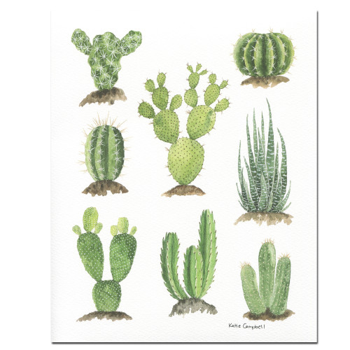Katie Campbell Art Print: Succulents