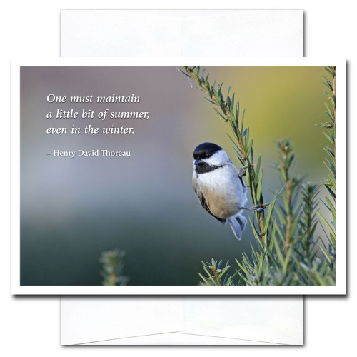 New Year's Card - Chickadee cover shows a little chickadees perched on a pine branch and the quotation:  One must maintain a little bit of summer, even in the winter. -Henry David Thoreau