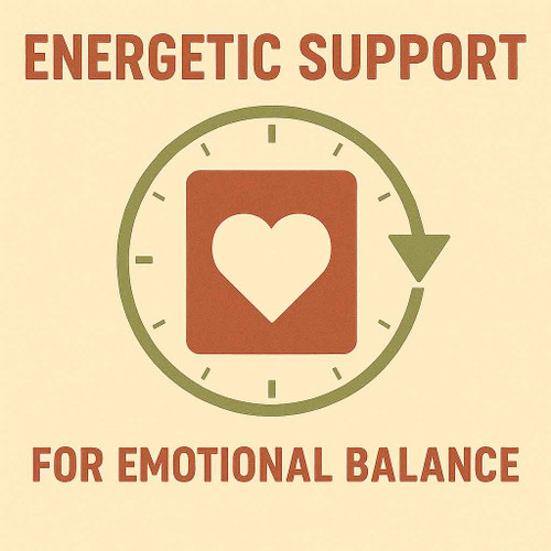 nonmedical Vitality Vault Set for energetic emotional balance and mental wellness. Includes Prozac / Fluoxetin energetic imprints in Remote Encoding or Resonant Healing.