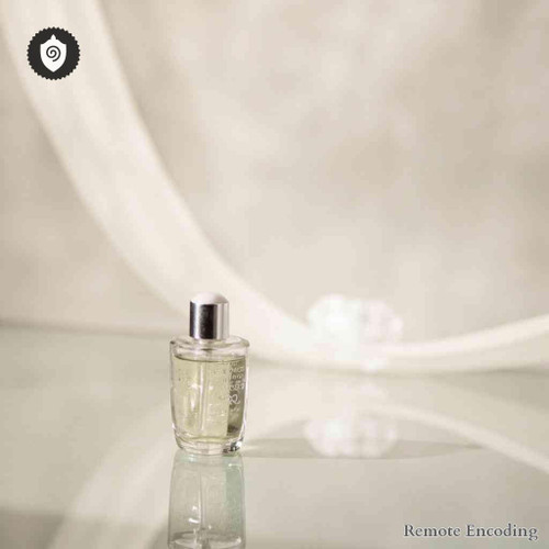 Acne Nosode remote imprint for quantum transmission and energetic charge alignment in distance energy relay system