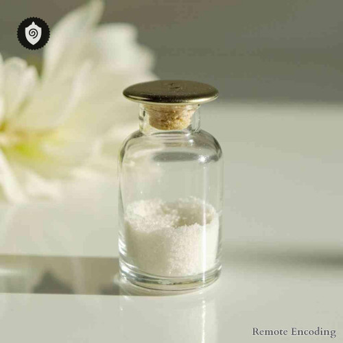 Agathis Australis remote imprint device for quantum transmission and distance energy relay in energetic fields