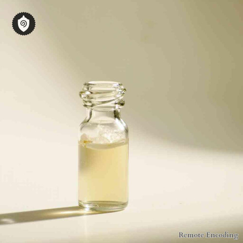 Alnus Glutinosa - Pollen Alni distance energy relay for quantum transmission and remote imprint of energetic charge