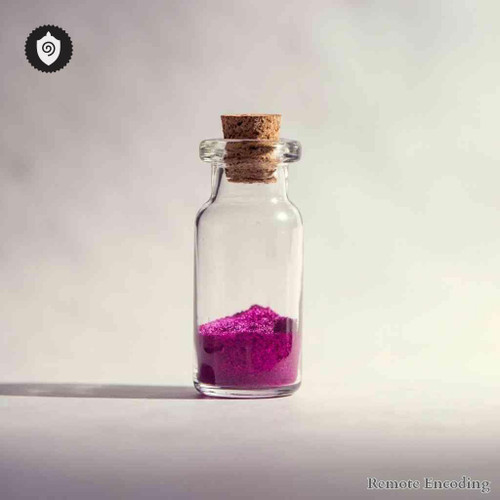 Articulationes Intervertebrales Cervicales remote imprint device for quantum transmission and distance energy relay