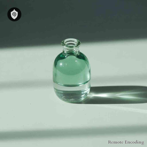 Boletus Luridus remote imprint device for quantum field alignment and precise distance energy relay activation