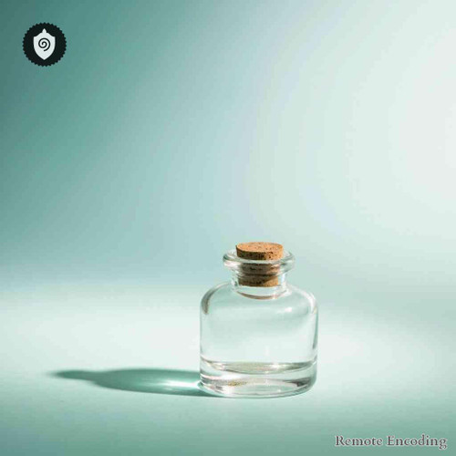 Bos Primigenius Taurus- Caro Cocta Tauri remote imprint for quantum transmission and distance energy relay activation