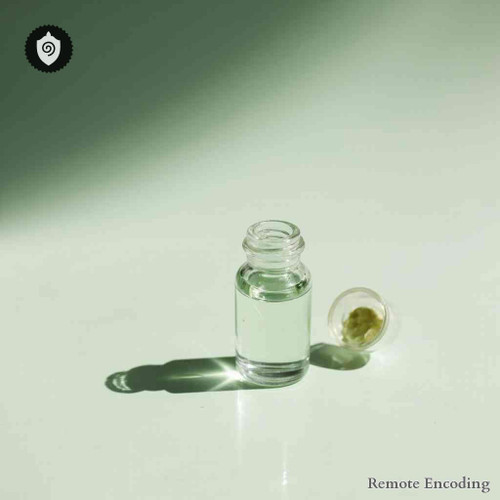 Cladonia Rangiferina remote imprint device for distance energy relay and quantum transmission field alignment