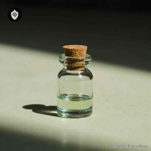 Corallina Officinalis distance energy relay for quantum transmission and remote energetic imprint activation