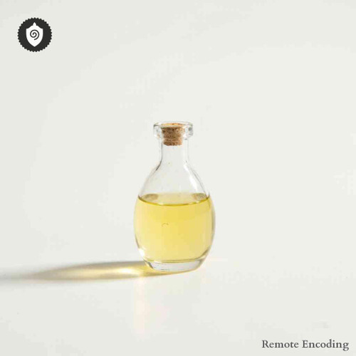 Cornus Canadensis remote imprint device with quantum transmission interface for distance energy relay and sync