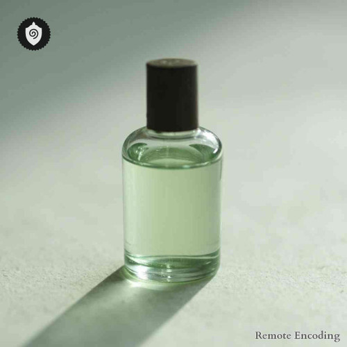 Cucurbita Maxima remote imprint matrix for quantum transmission and distance energy relay in energetic fields