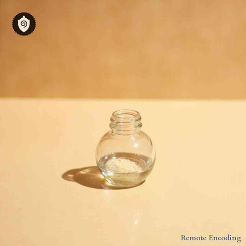 Diaminoxidase remote imprint catalyst for quantum field transmission and precise energetic charge modulation