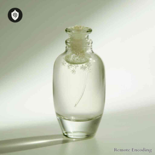 Dianthus Armeria remote imprint device with quantum field interface for precise distance energy relay and activation