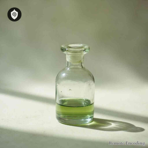 Doryphora Decemlineata remote energy imprint device aligned with quantum transmission for energetic field relay